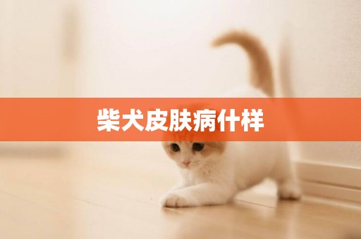 柴犬皮膚病什樣