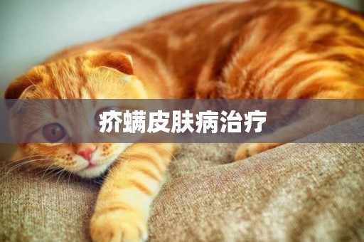 疥螨皮膚病治療