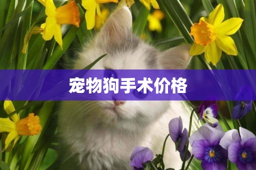 寵物狗手術價格
