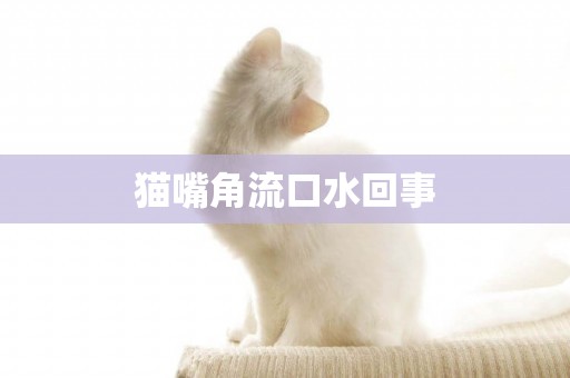 貓嘴角流口水回事