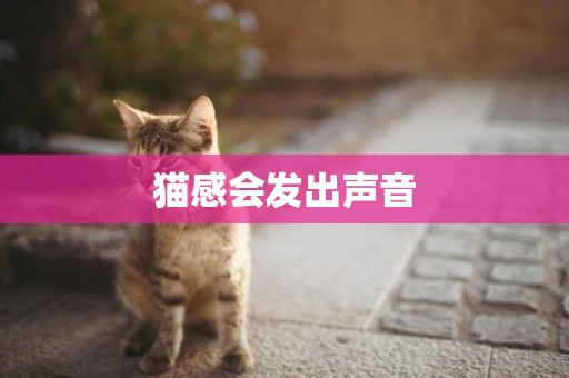 貓感會發出聲音