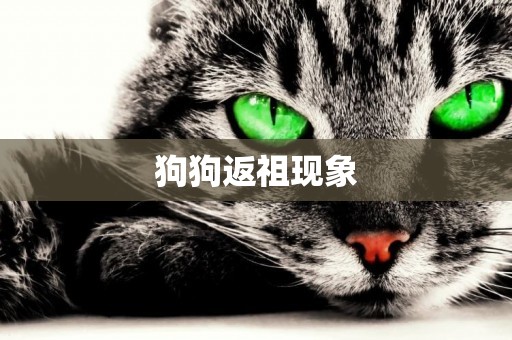狗狗返祖現象