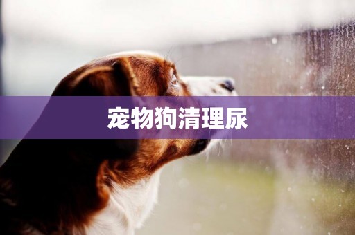 寵物狗清理尿