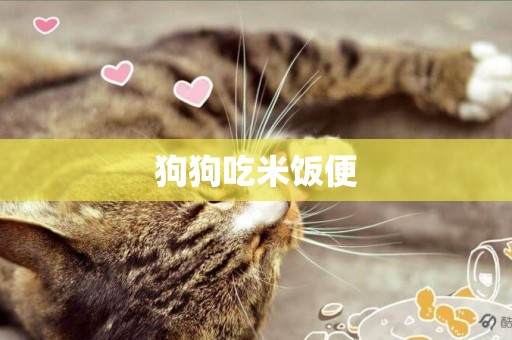 狗狗吃米飯便