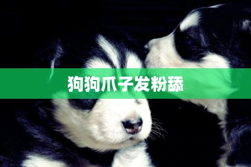 狗狗爪子發粉舔
