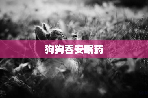 狗狗吞安眠藥