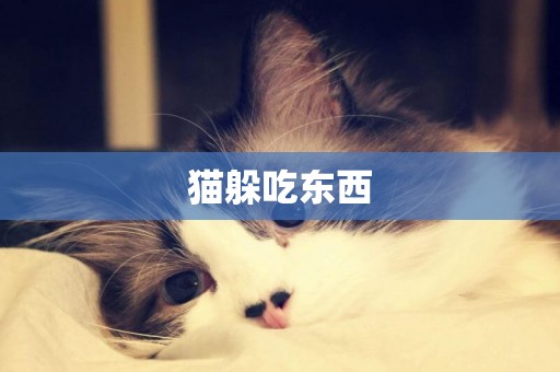貓躲吃東西