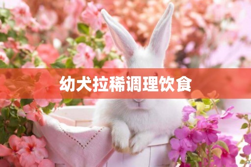 幼犬拉稀調理飲食