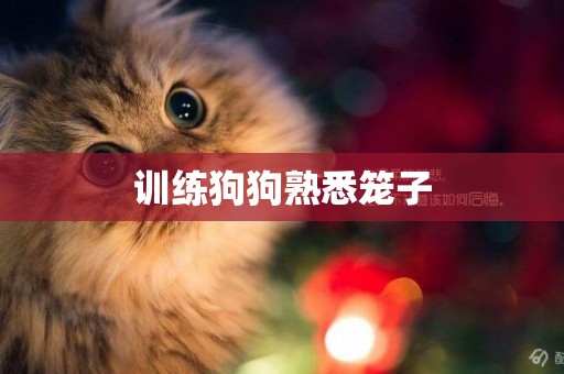 訓練狗狗熟悉籠子