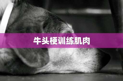 牛頭梗訓練肌肉