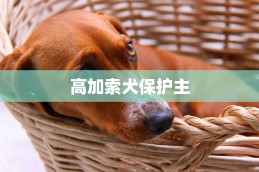 高加索犬保護主
