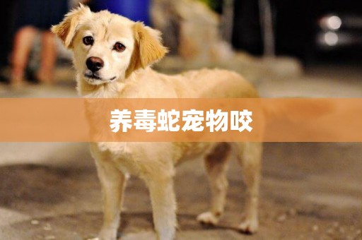 養毒蛇寵物咬