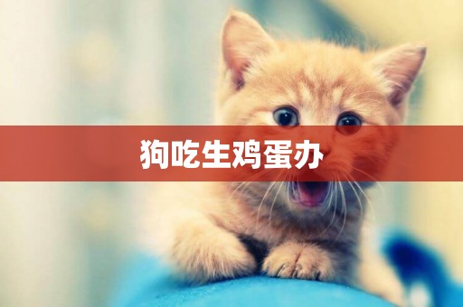 狗吃生雞蛋辦