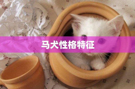 馬犬性格特征