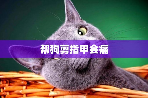 幫狗剪指甲會痛
