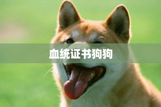 血統證書狗狗