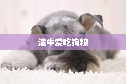 法牛愛吃狗糧