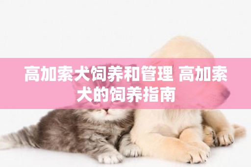 高加索犬飼養和管理 高加索犬的飼養指南