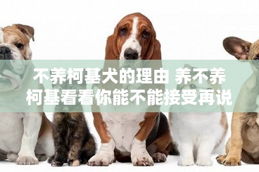 不養柯基犬的理由 養不養柯基看看你能不能接受再說吧！