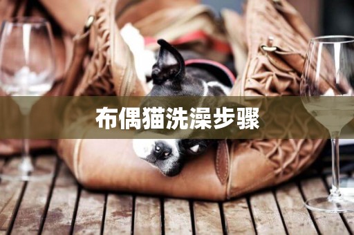 布偶貓洗澡步驟