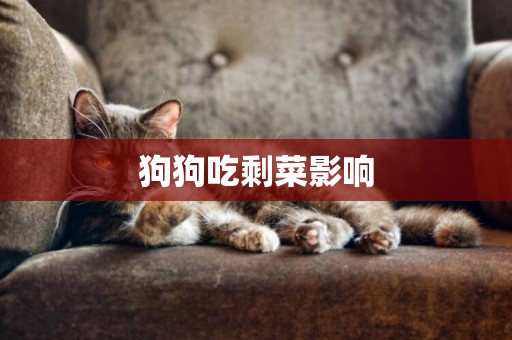 狗狗吃剩菜影響