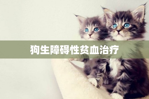 狗生障礙性貧血治療