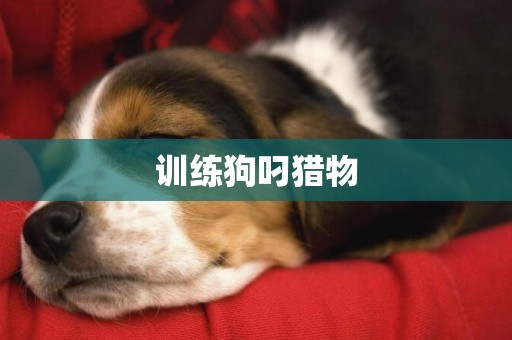 訓練狗叼獵物