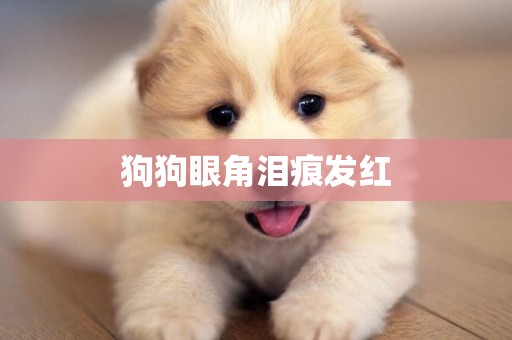 狗狗眼角淚痕發紅