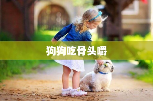 狗狗吃骨頭嚼
