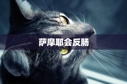 薩摩耶會反腸