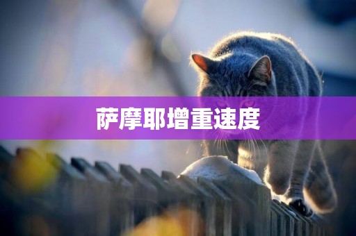 薩摩耶增重速度