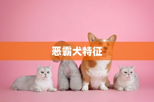惡霸犬特征