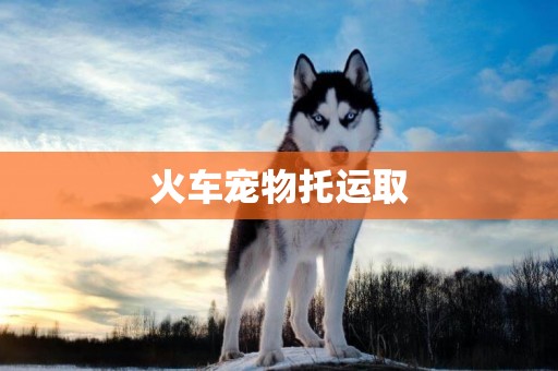 火車寵物托運取