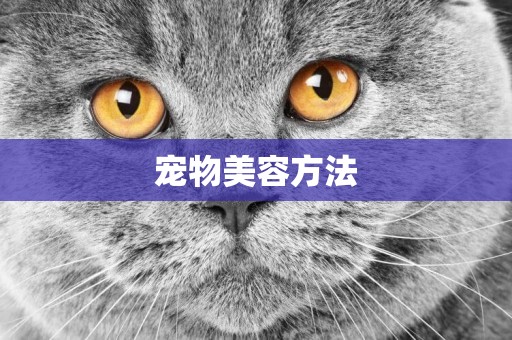 寵物美容方法