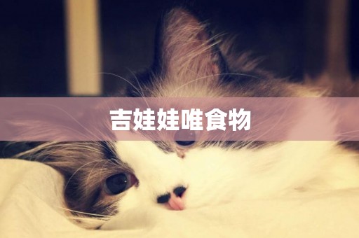 吉娃娃唯食物