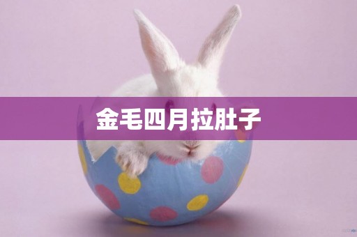 金毛四月拉肚子
