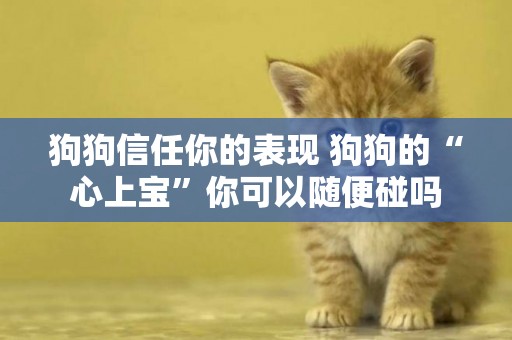 狗狗信任你的表現 狗狗的“心上寶”你可以隨便碰嗎