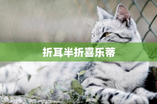 折耳半折喜樂蒂
