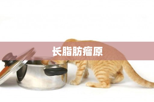 長脂肪瘤原