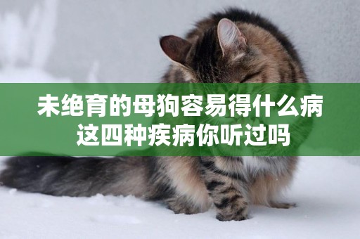 未絕育的母狗容易得什么病 這四種疾病你聽過嗎 未絕育的母狗容易得什么病 這四種疾病你聽過嗎