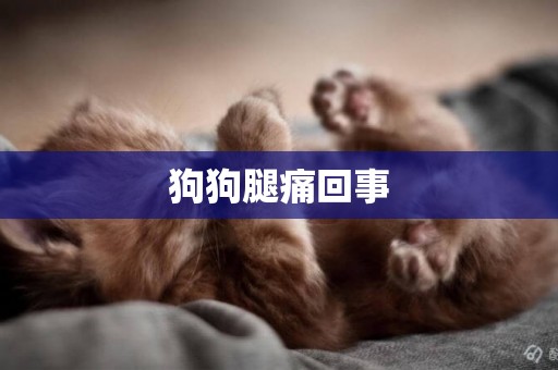 狗狗腿痛回事