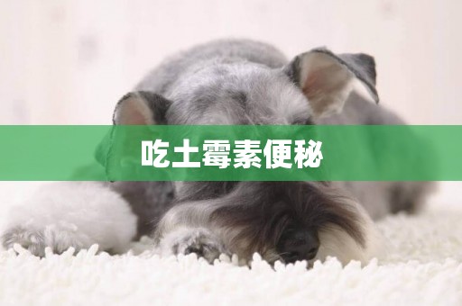 吃土霉素便秘