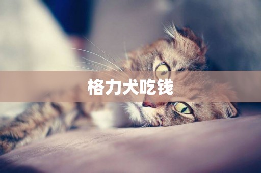 格力犬吃錢