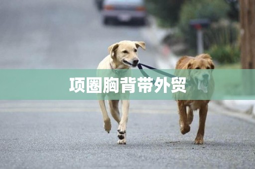 項圈胸背帶外貿