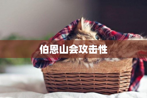 伯恩山會攻擊性