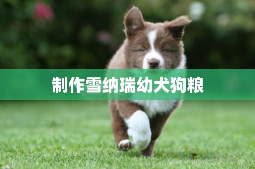 制作雪納瑞幼犬狗糧