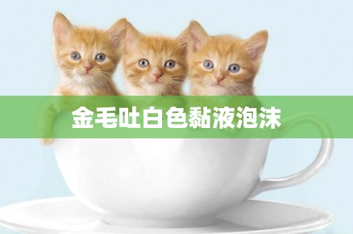 金毛吐白色黏液泡沫