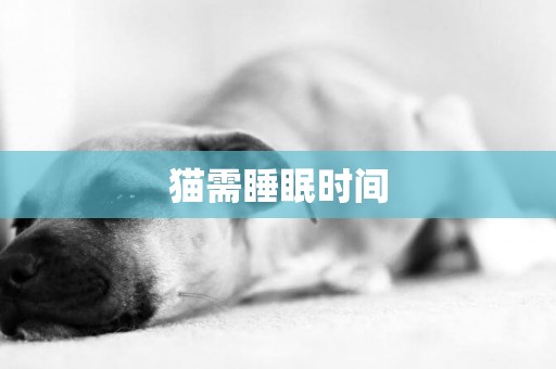 貓需睡眠時間