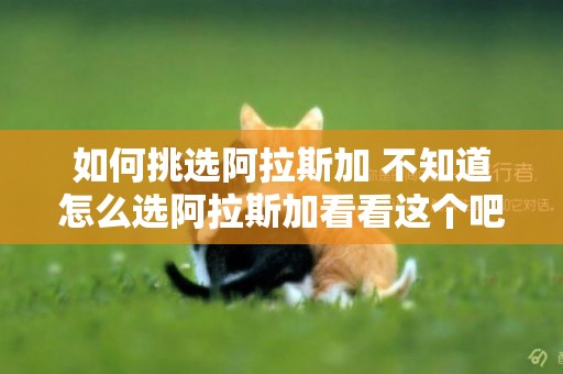 如何挑選阿拉斯加 不知道怎么選阿拉斯加看看這個吧！