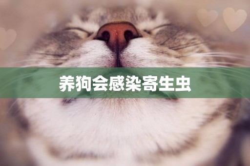 養狗會感染寄生蟲